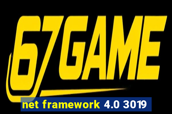 net framework 4.0 3019